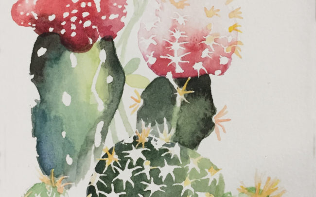Cactus watercolor